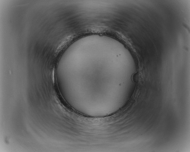 X0000101470019200807211346