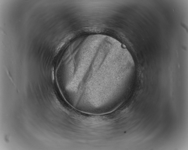 X0000101470020200807211346