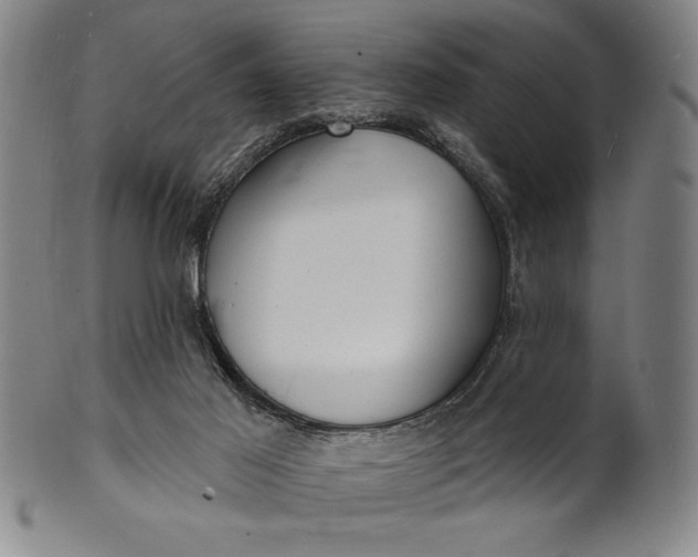 X0000101470021200807211346