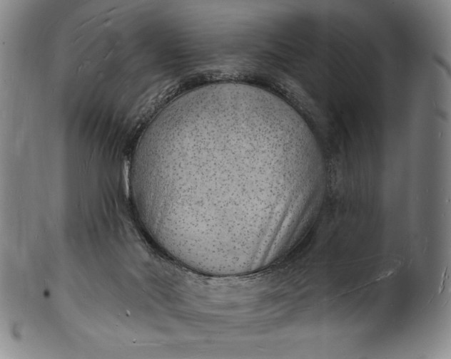 X0000101470022200807211346