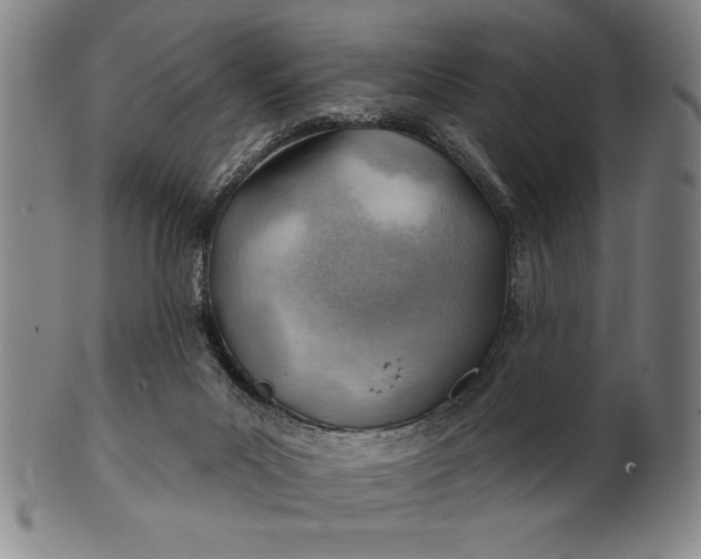 X0000101470023200807211346