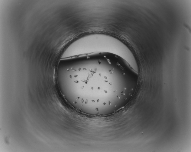 X0000101470024200807211346