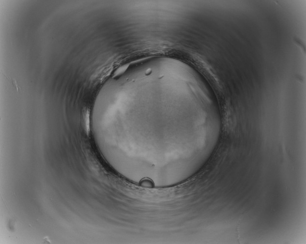 X0000101470027200807211346