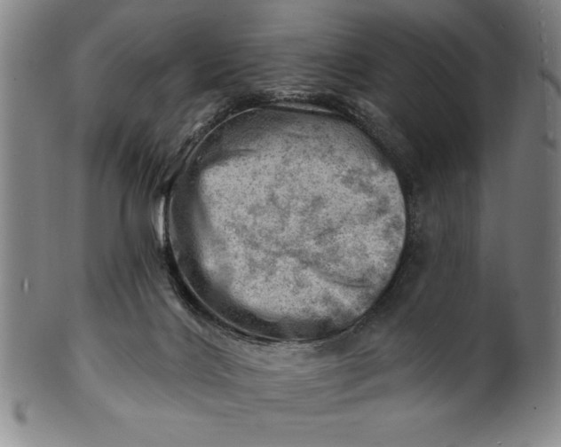 X0000101470028200807211346