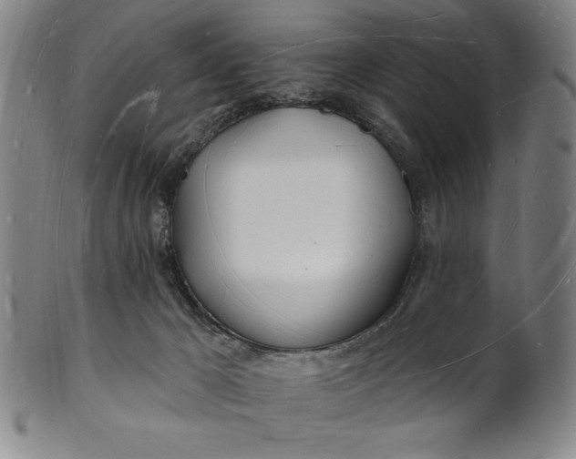 X0000101470029200807211346