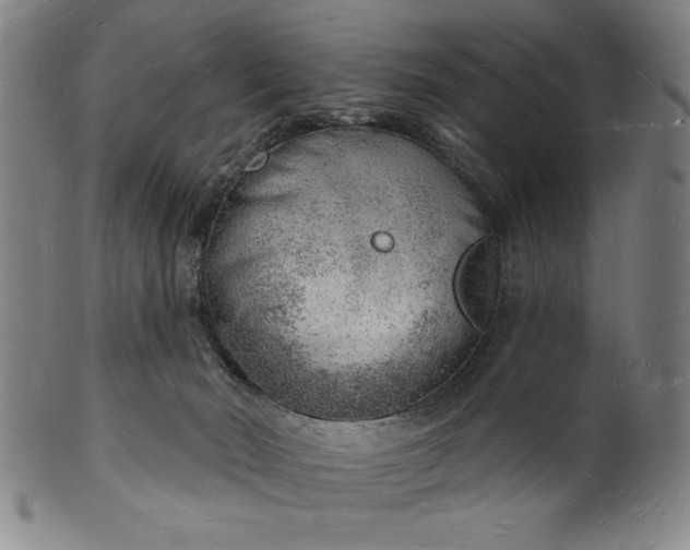 X0000101470030200807211346