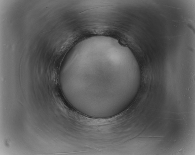 X0000101470031200807211346