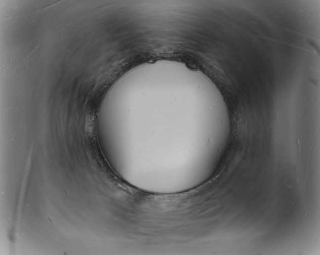 X0000101470033200807211346