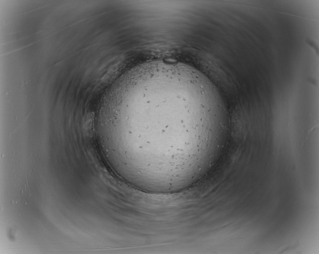 X0000101470034200807211346