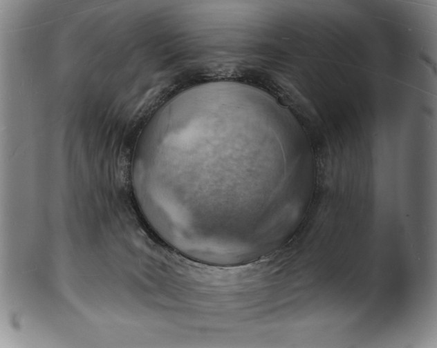 X0000101470035200807211346