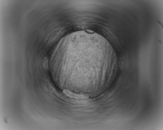 X0000101470036200807211346