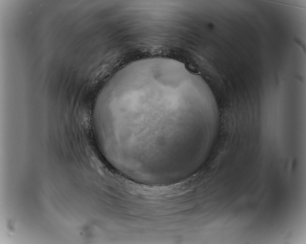 X0000101470039200807211346