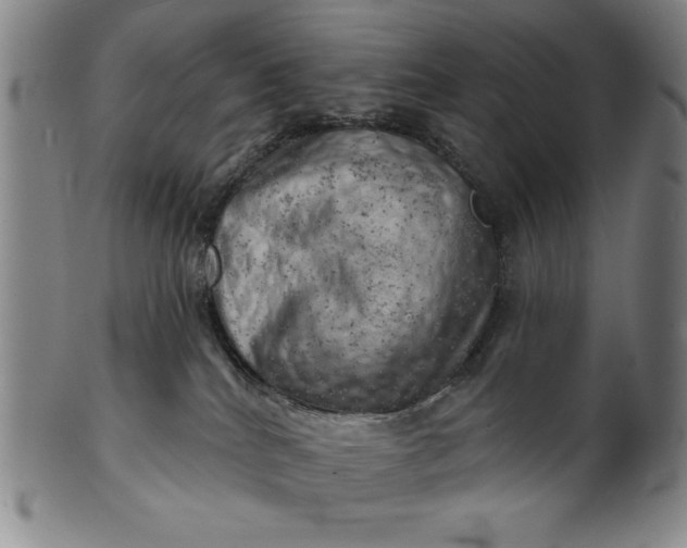 X0000101470040200807211346