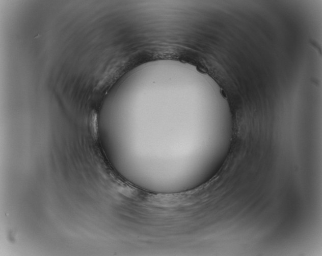 X0000101470041200807211346