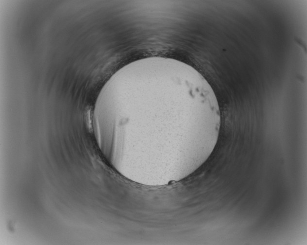 X0000101470042200807211346