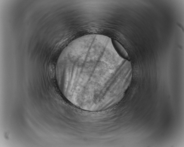 X0000101470043200807211346