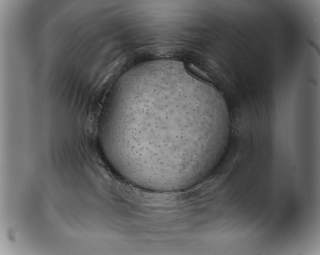 X0000101470044200807211346