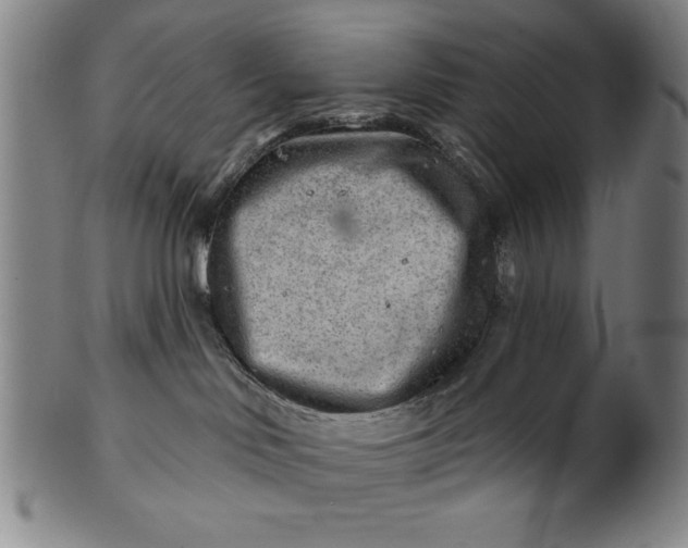 X0000101470046200807211346