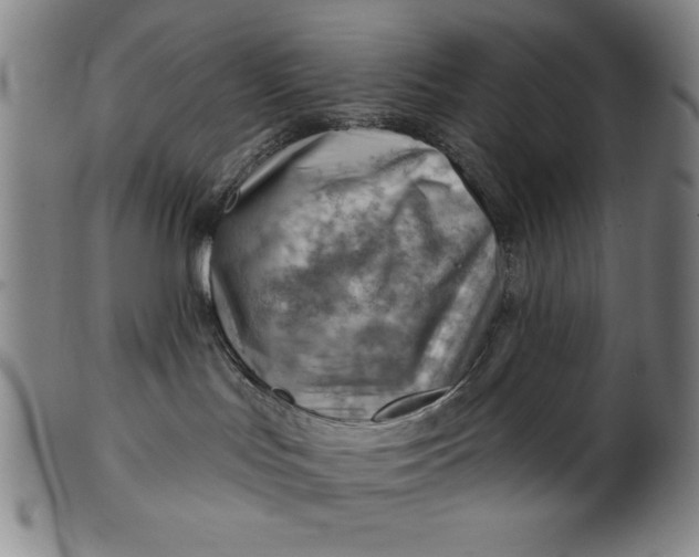 X0000101470047200807211346