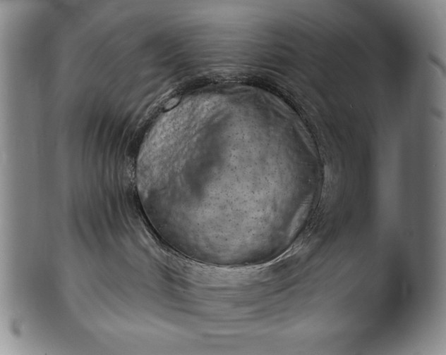 X0000101470048200807211346