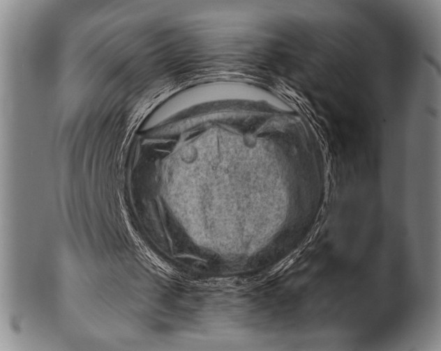 X0000101470049200807211345