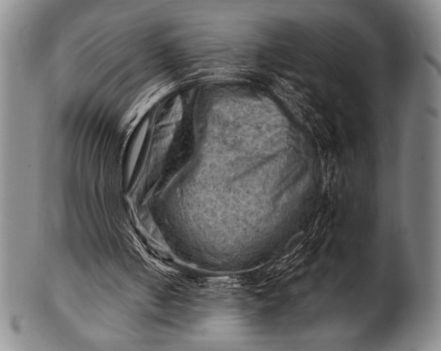 X0000101470050200807211345