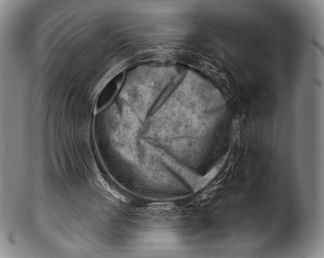 X0000101470051200807211345