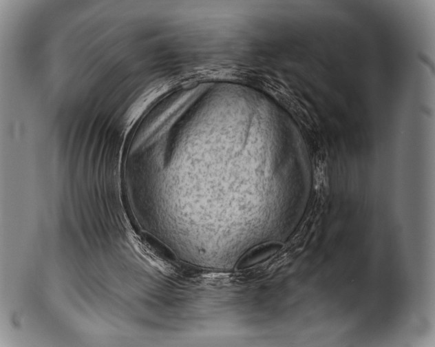 X0000101470052200807211345