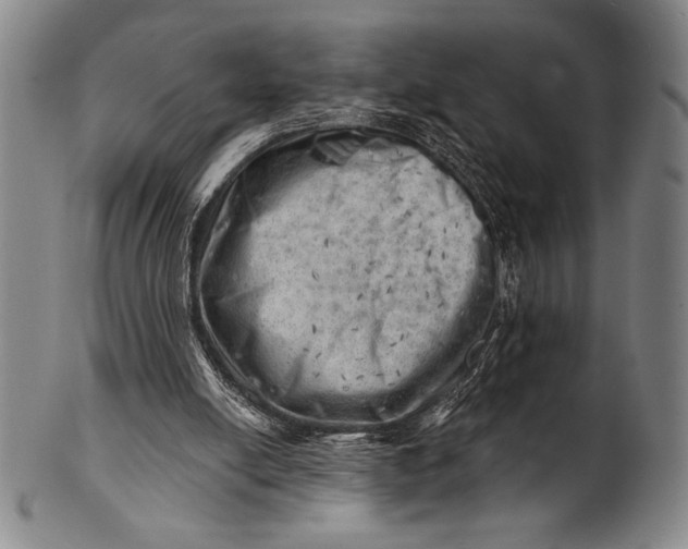 X0000101470054200807211345