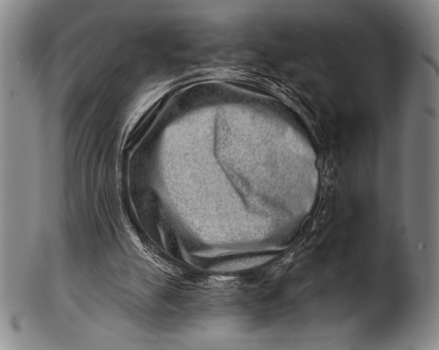 X0000101470055200807211345