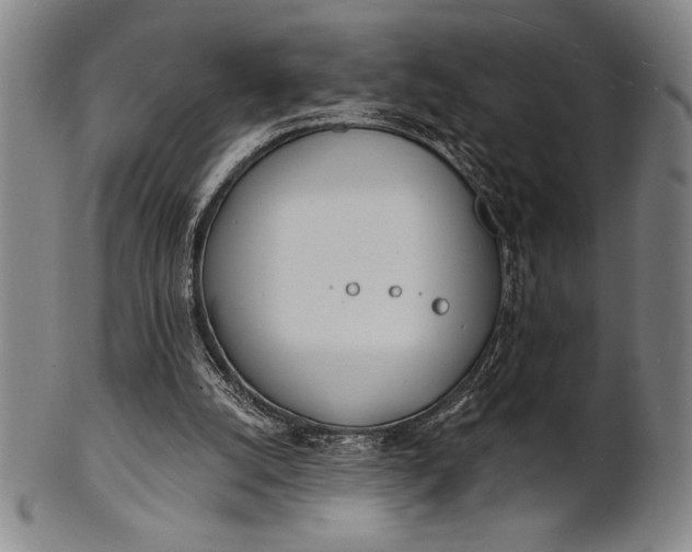 X0000101470056200807211345