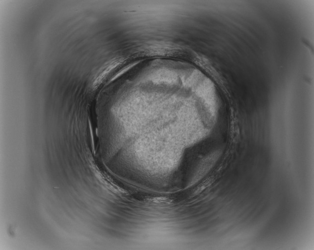 X0000101470058200807211345