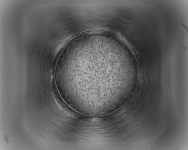 X0000101470059200807211345