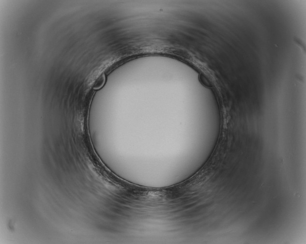 X0000101470060200807211346