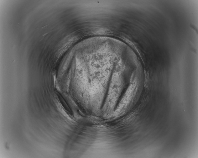 X0000101470061200807211346