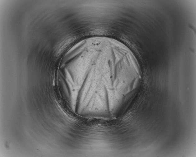 X0000101470062200807211346