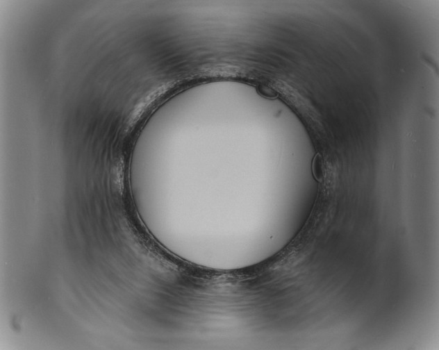 X0000101470064200807211346