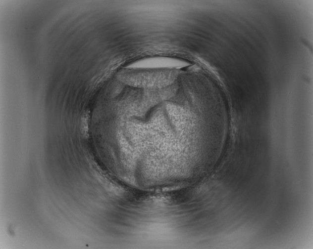 X0000101470065200807211346