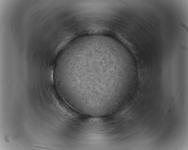 X0000101470067200807211346