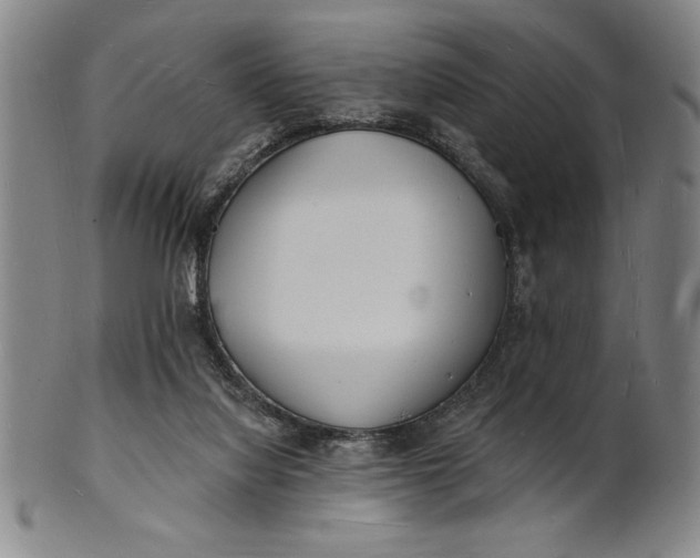 X0000101470068200807211346