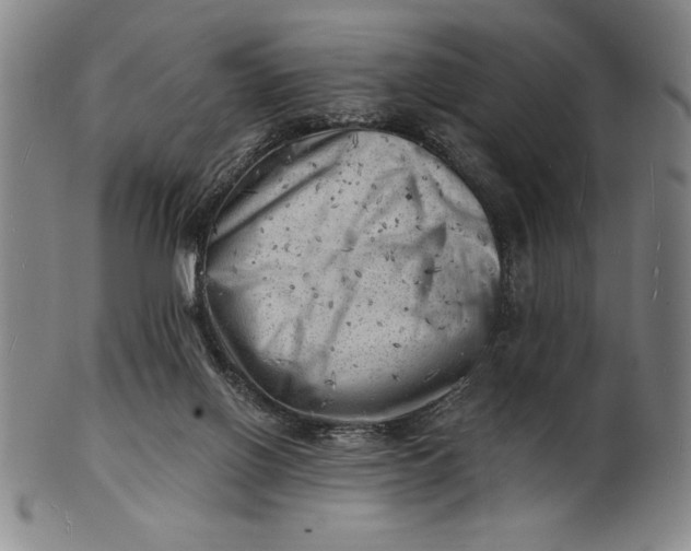 X0000101470070200807211346