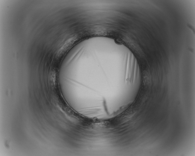 X0000101470072200807211346