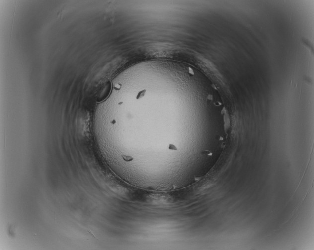 X0000101470073200807211346