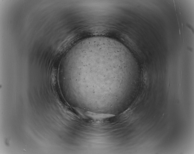 X0000101470074200807211346