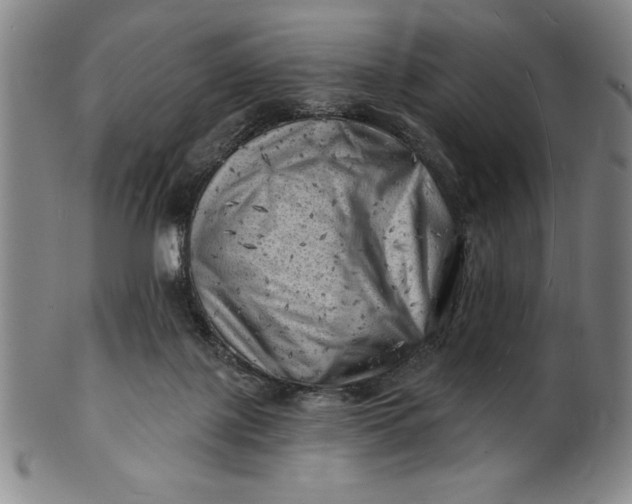 X0000101470075200807211346