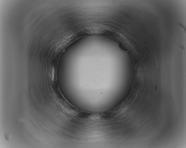 X0000101470076200807211346