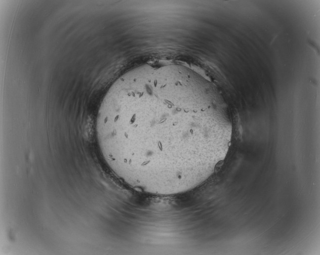 X0000101470077200807211346