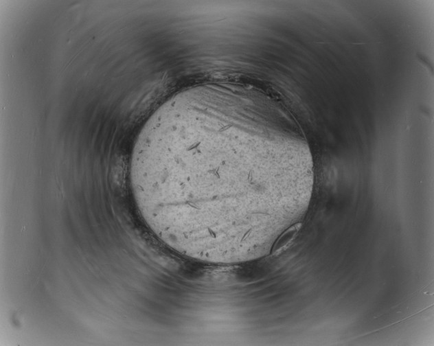 X0000101470078200807211346