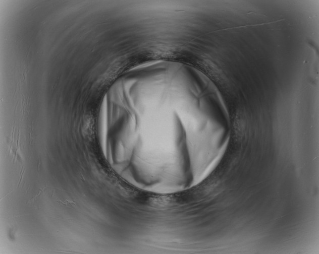 X0000101470079200807211346