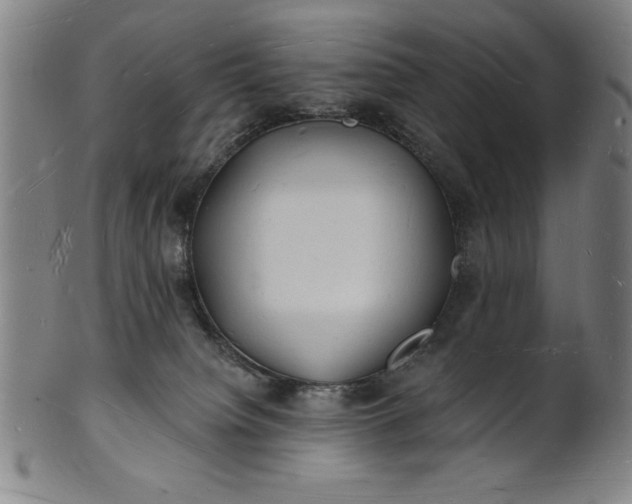 X0000101470084200807211346